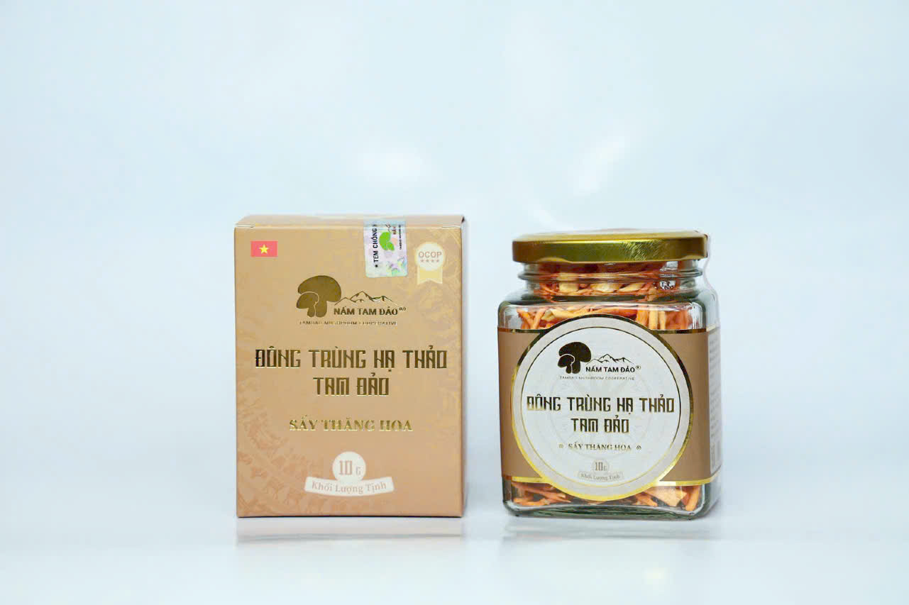 Đông trùng hạ thảo sấy thăng hoa 10g